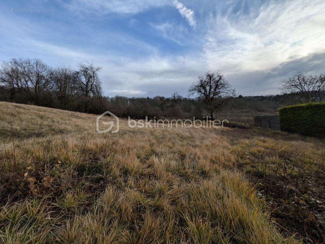 Terrain à Champillon - photo 5