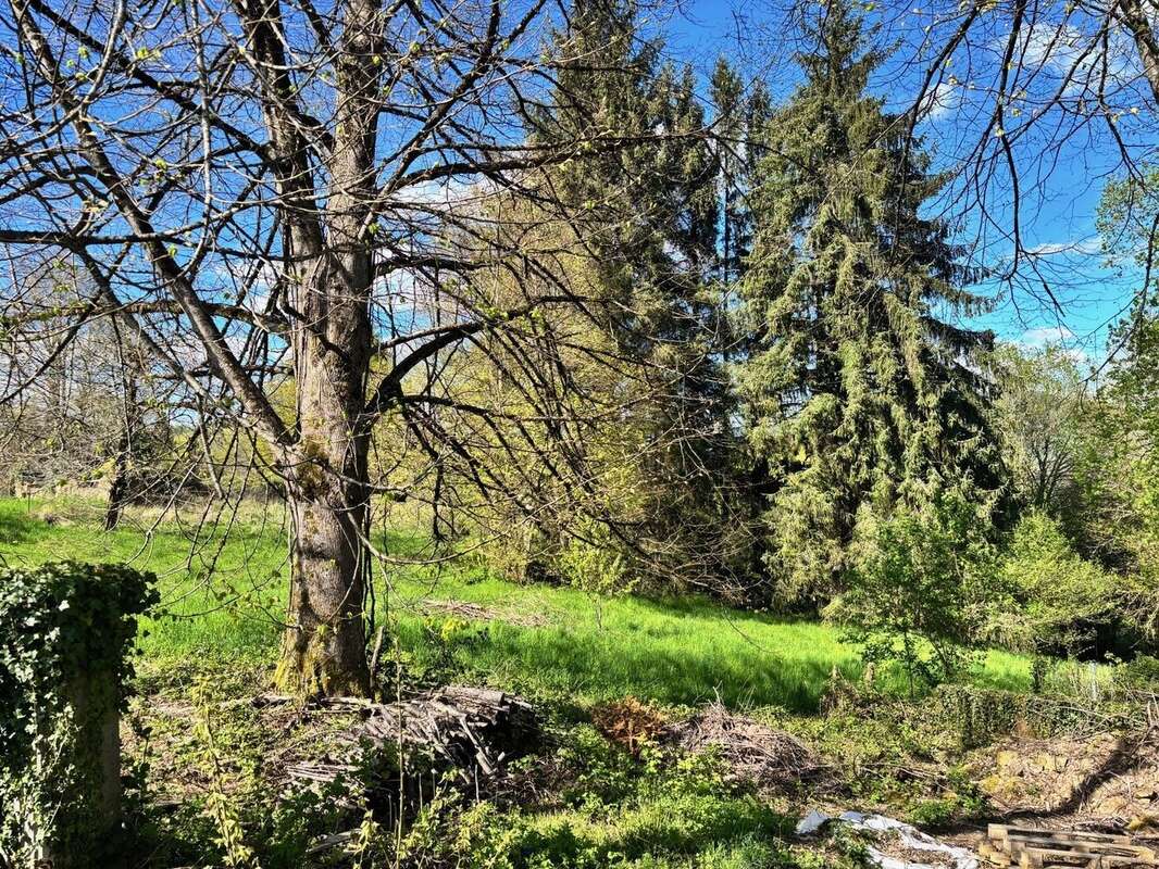 Maison - 4 chambres, Jardin 14,840 m2 - photo 11