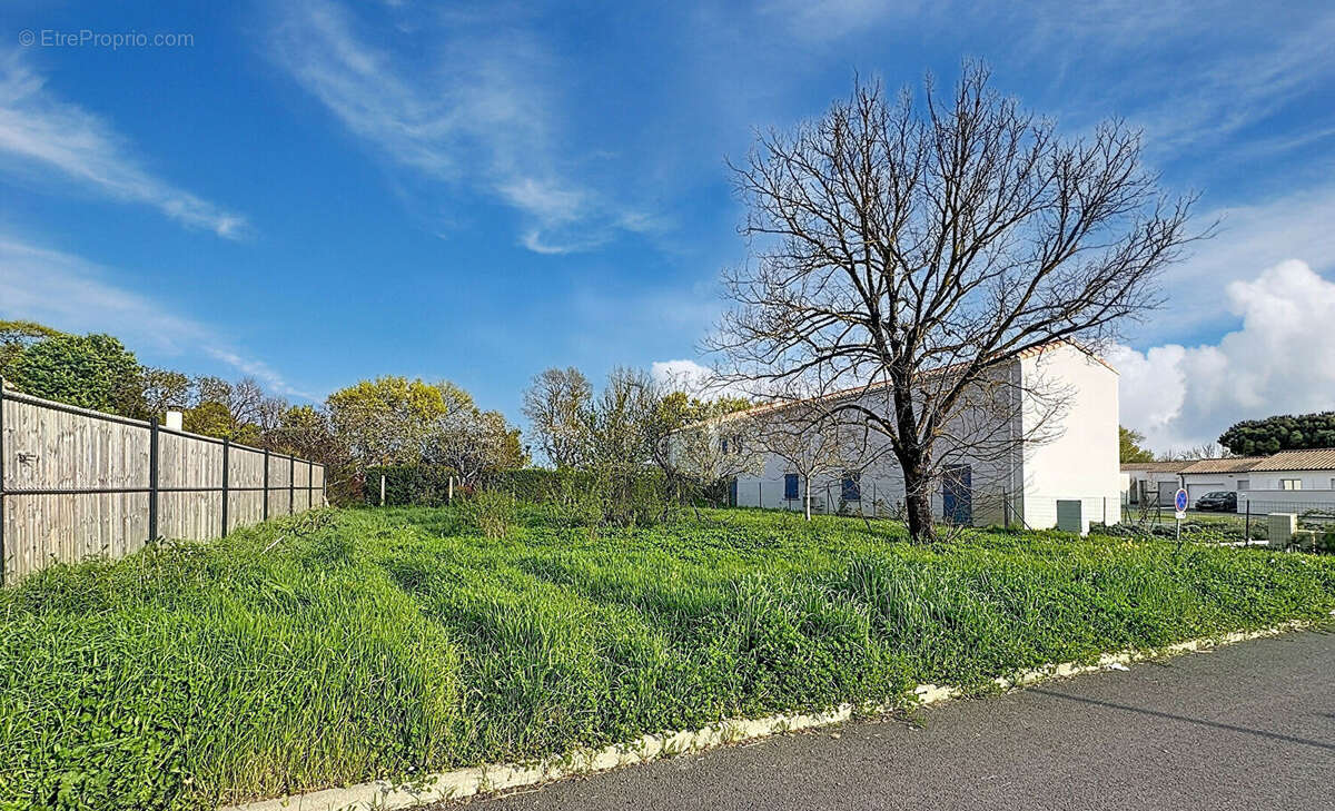 Terrain à SALLES-SUR-MER