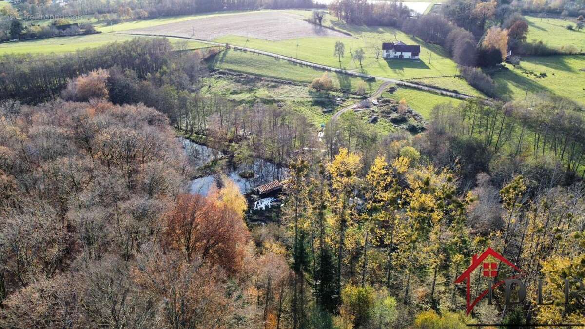 Terrain à BELMONT