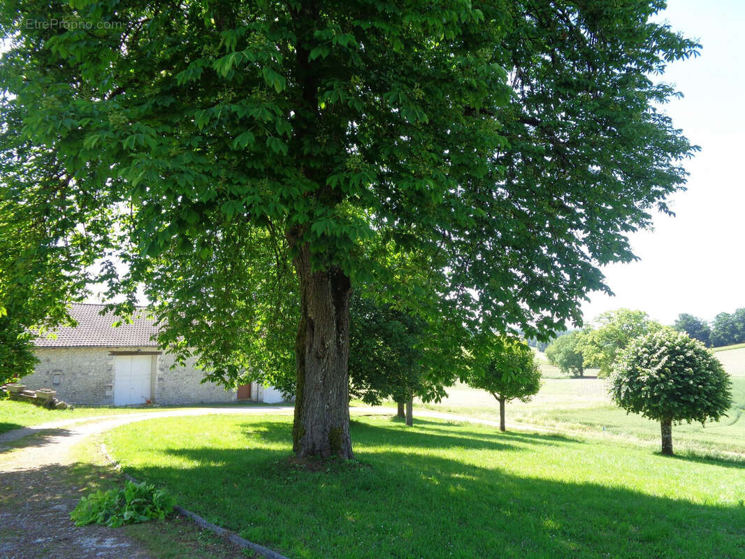 Maison à GRAND-BRASSAC