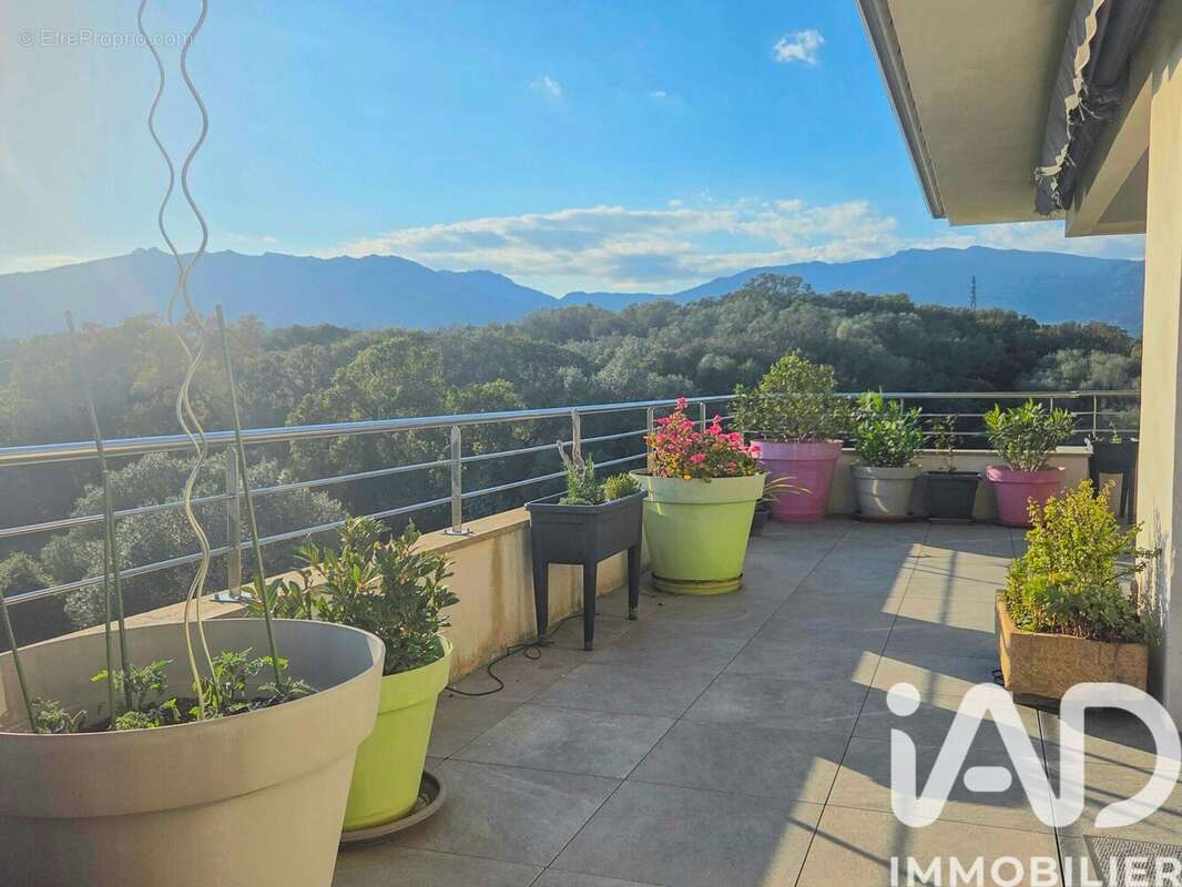 Photo 3 - Appartement à PORTO-VECCHIO