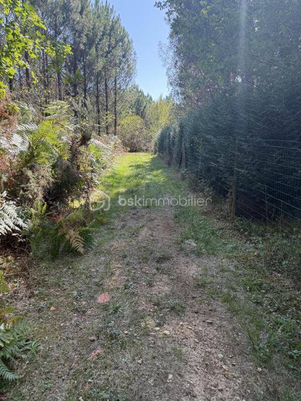 Terrain à FOSSEMAGNE