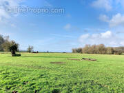 Terrain à SAINT-VALERY-SUR-SOMME