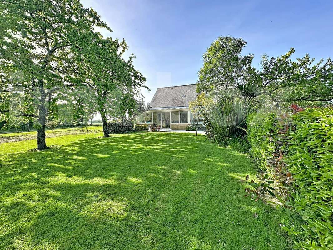 mr-et-mme-toublanc_00004 - Maison à MESANGER