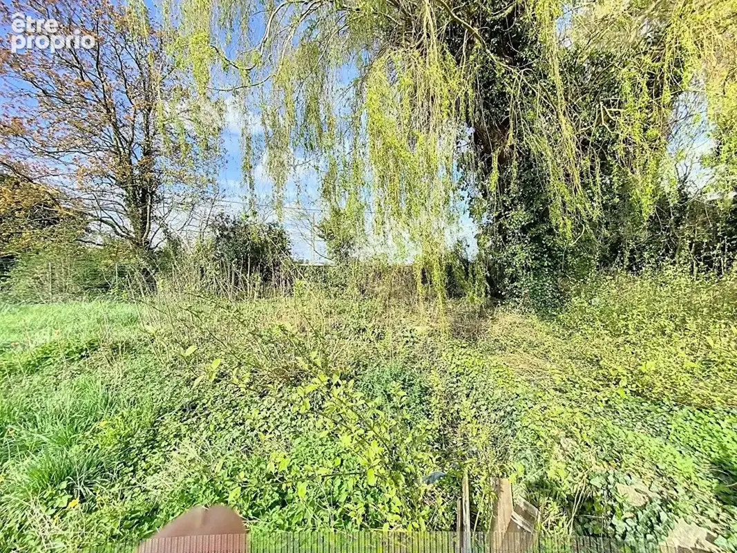 Terrain à LA CHAPELLE-D'ARMENTIERES