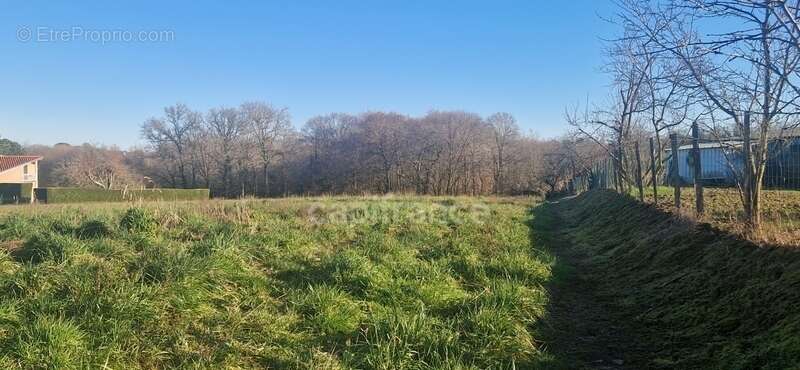 Terrain à vendre à bâtir LAREE (32) - photo 2
