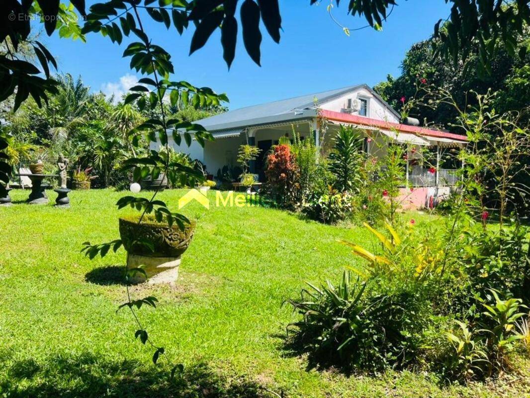 Maison à BAIE-MAHAULT