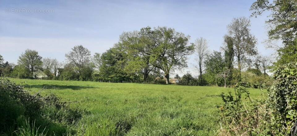 Terrain à SAVIGNE-L'EVEQUE