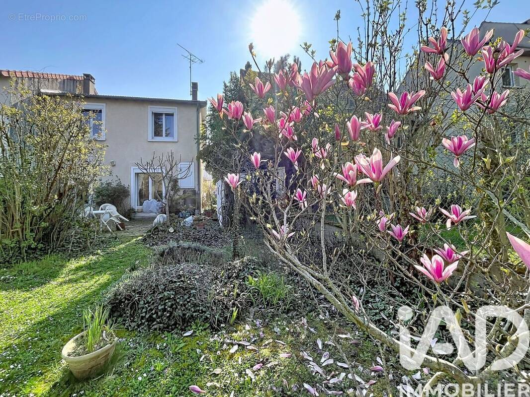 Photo 1 - Maison à ANTONY