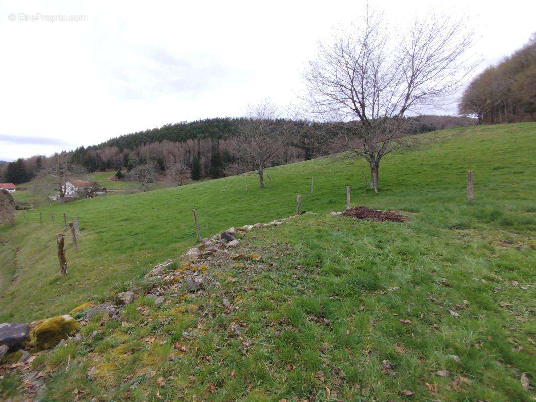 Corps de ferme réhabilité 2 logements - photo 38