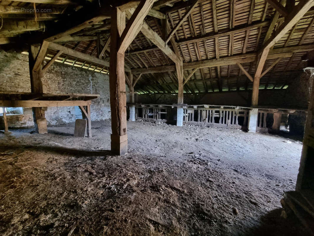 20230817_105335 - Maison à SAINT-MARTIN-LE-PIN