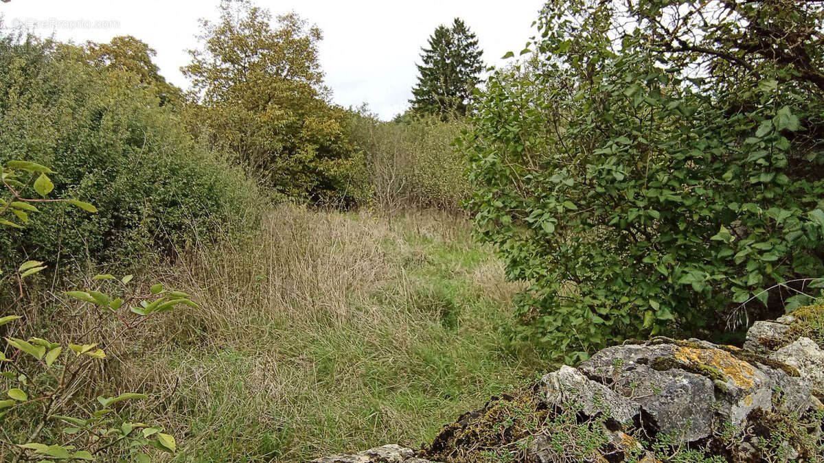 Terrain à RECHICOURT-LE-CHATEAU