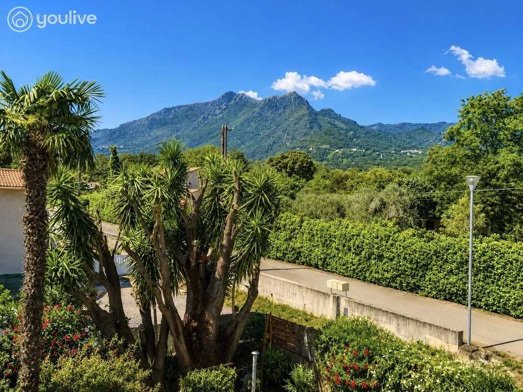 Maison à SANTA-LUCIA-DI-MORIANI