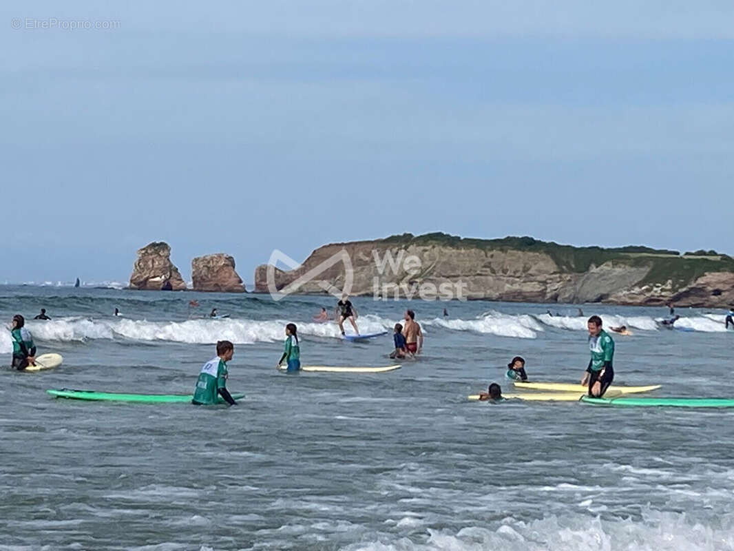 Commerce à HENDAYE