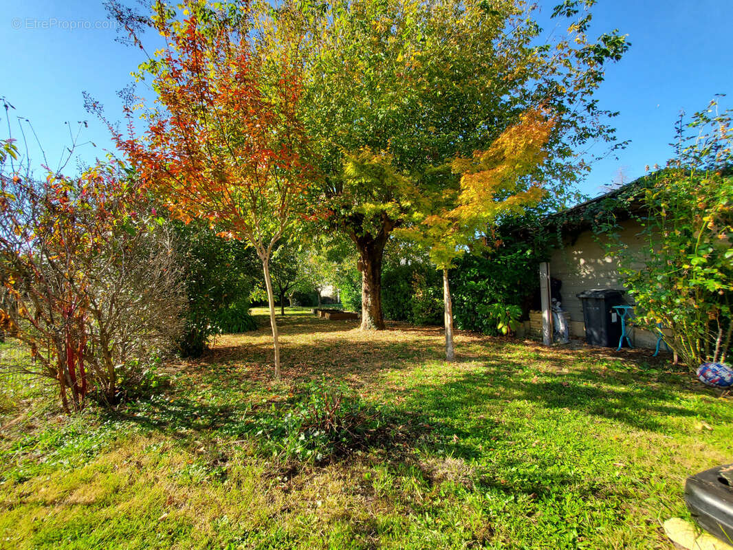 Commerce à MARMANDE
