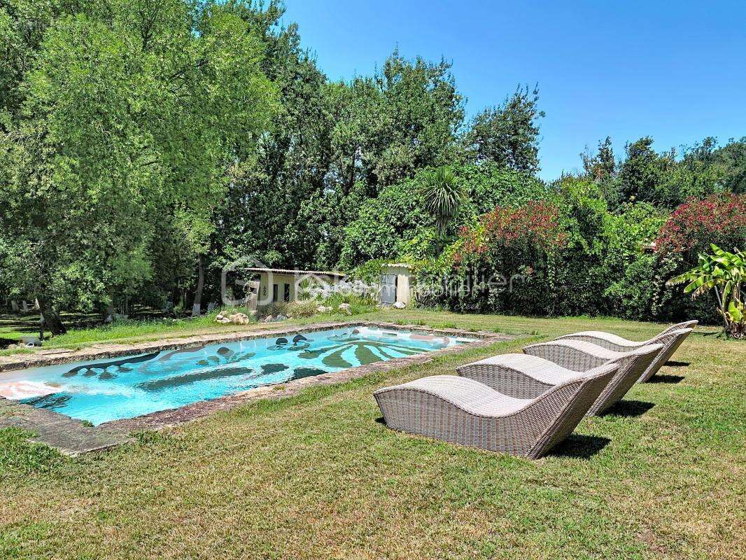 Maison d'exception au cœur de la Petite Camargue -Le Cailar - photo 5