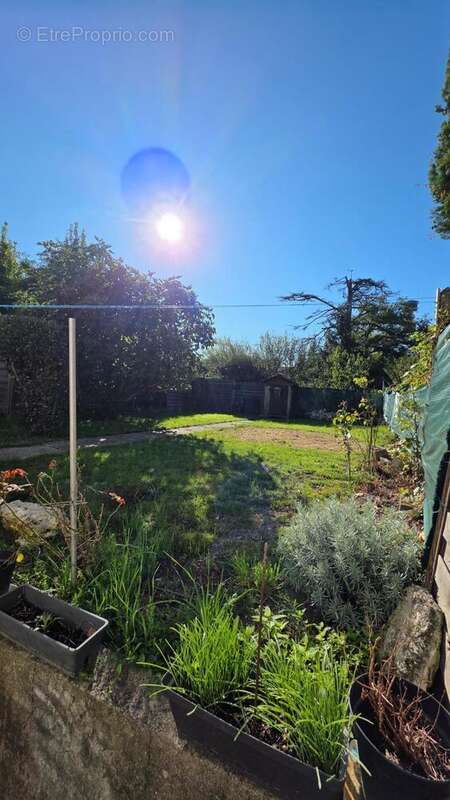 Photo 9 - Maison à BOURG-DE-VISA