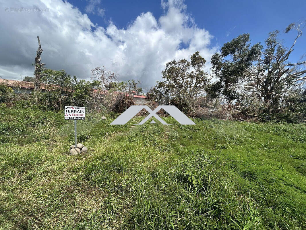 Terrain à LE TAMPON