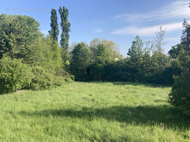 Terrain à SAINT-JEAN