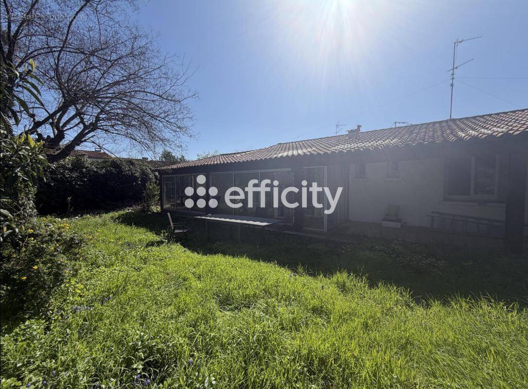 Maison à MONTPELLIER