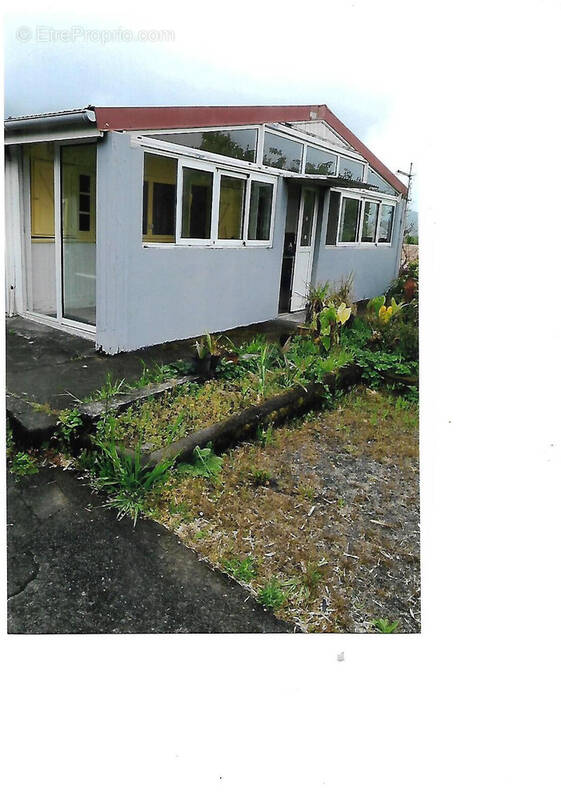 Maison à LA PLAINE-DES-PALMISTES