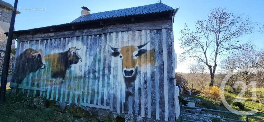 Maison à LACAPELLE-BARRES