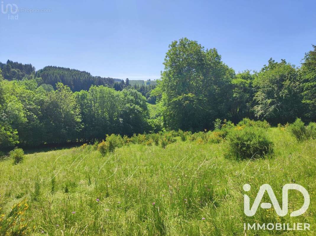 Photo 6 - Terrain à AUMONT-AUBRAC