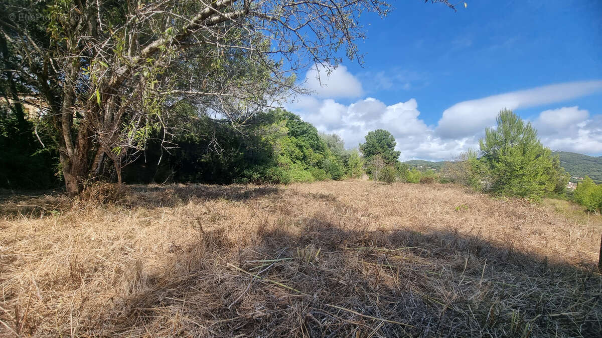 Terrain à CARQUEIRANNE
