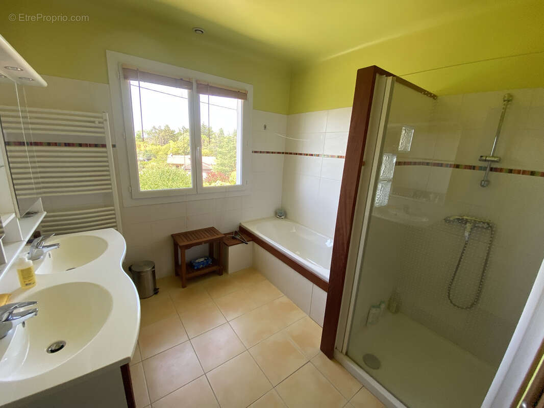 Maison de 195m2 avec jardin, garage à vendre à  Pavie - photo 12