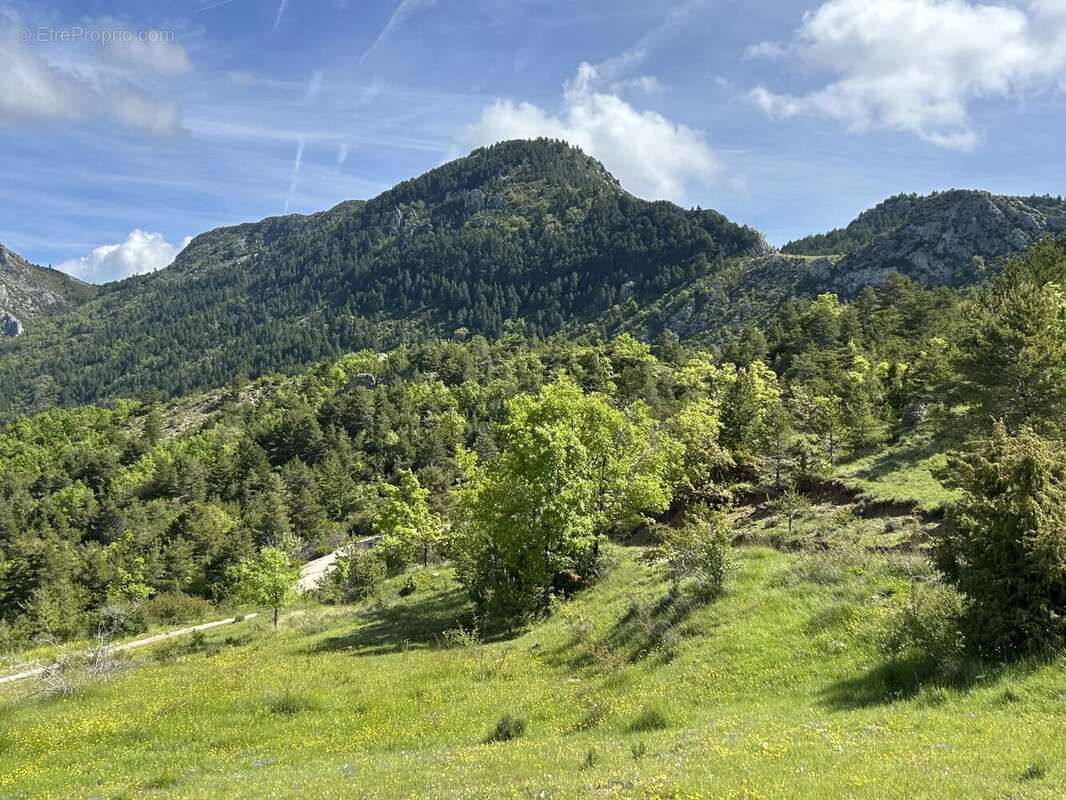 Maison à DIGNE-LES-BAINS