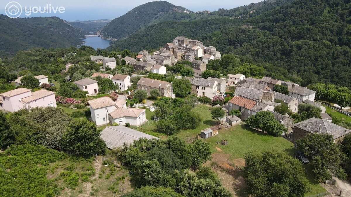 Terrain à PIETRA-DI-VERDE