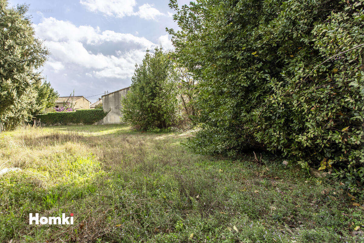 Terrain à CONGENIES