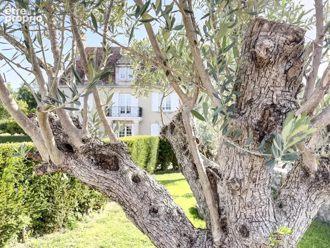 Photo Maison à Moigny-Sur-Ecole au prix de 2 200 000€