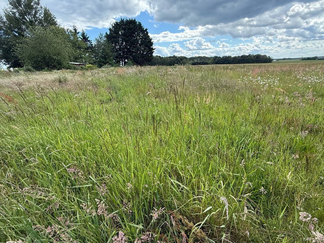 Terrain à TRAINOU