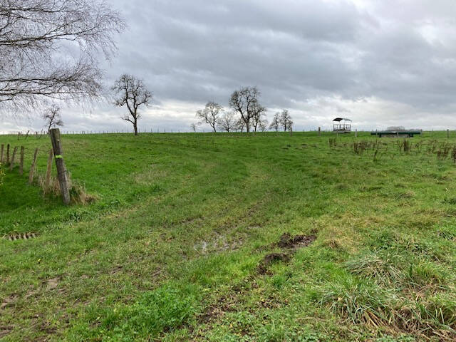 Terrain à PUELLEMONTIER