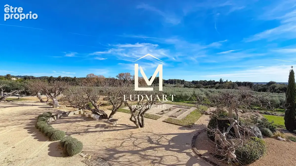 Propriété d’exception de 1300m2 au cœur des Alpilles — Domaine de 7,3 ha avec oliveraie - photo 6