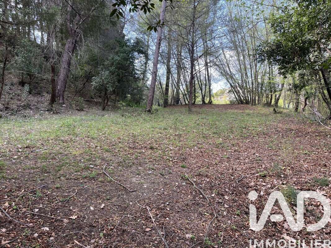 Photo 8 - Terrain à PEGOMAS