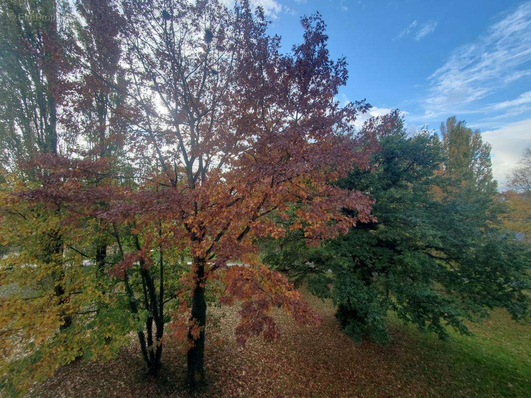 Appartement à BLAIN