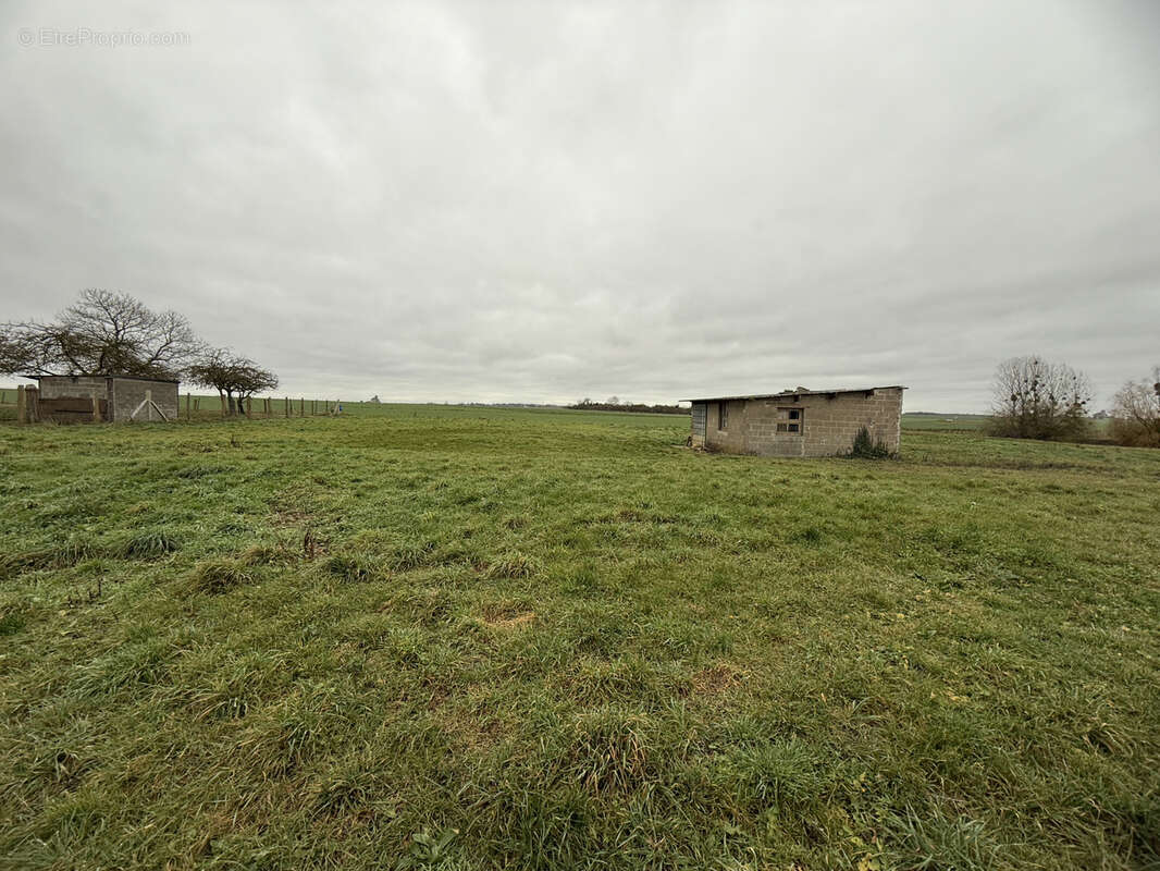 Terrain à BRETAGNOLLES