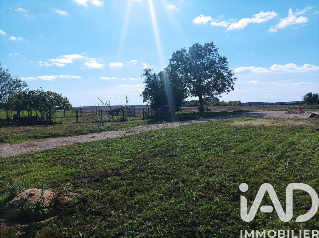 Photo 1 - Terrain à RAHART