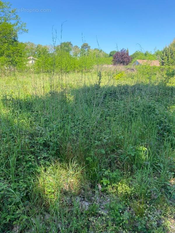 Terrain à GUJAN-MESTRAS