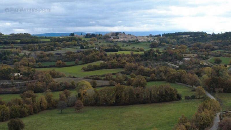 En exclusivité - Authentique bergerie Provençale du XIXème siècle à fort potentiel - photo 39