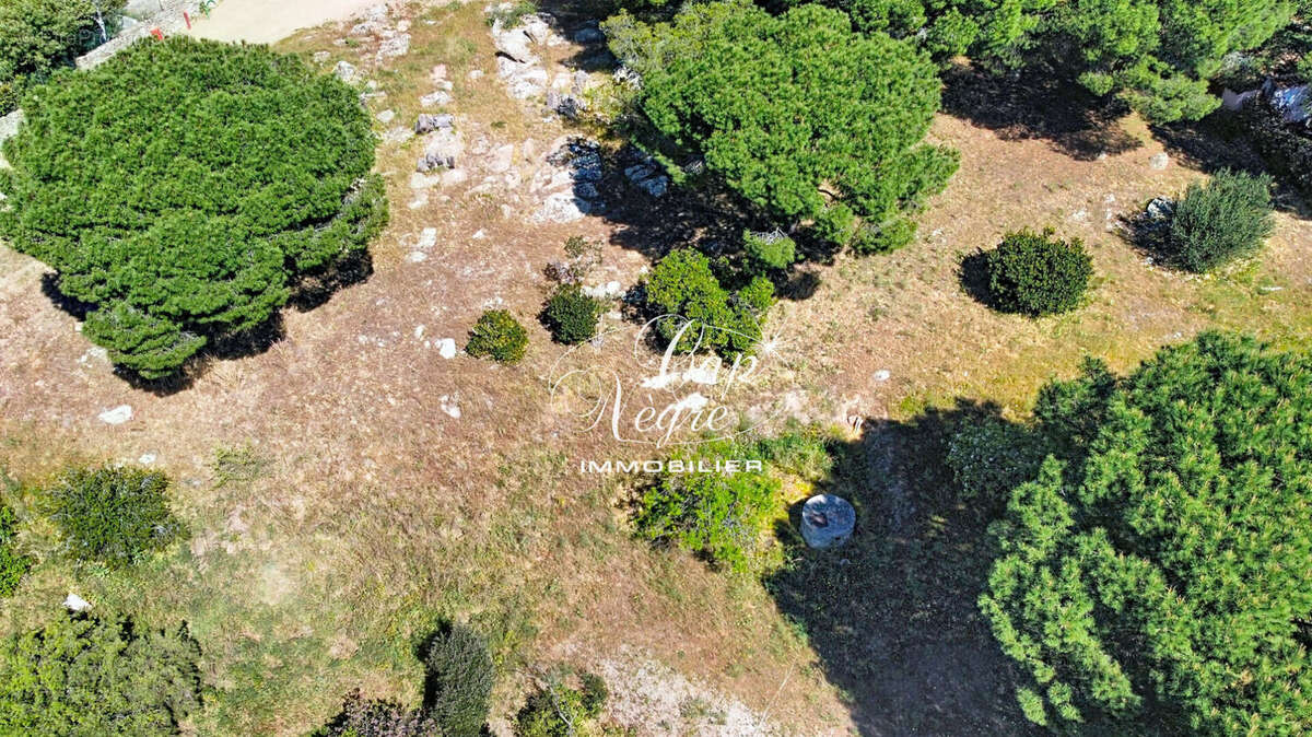 Terrain à BORMES-LES-MIMOSAS