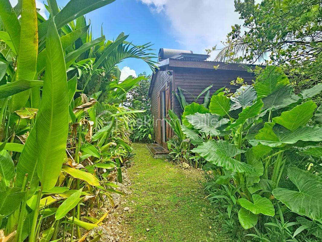 Maison à SAINTE-ANNE