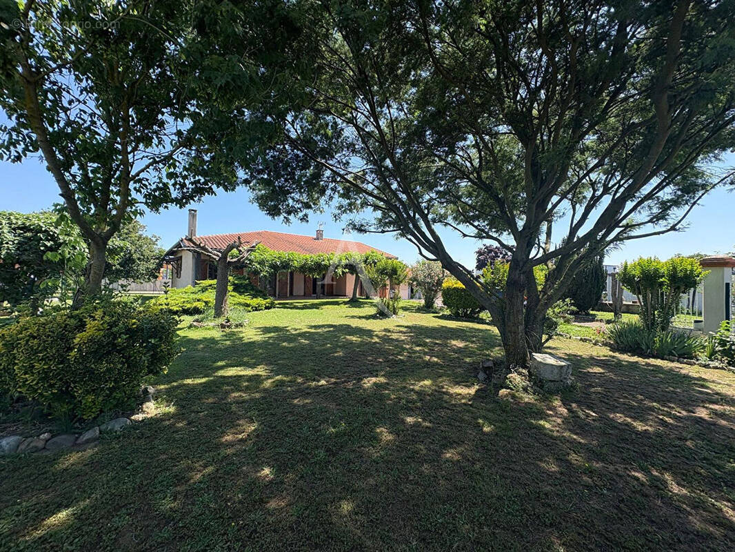 Maison à PLAISANCE-DU-TOUCH