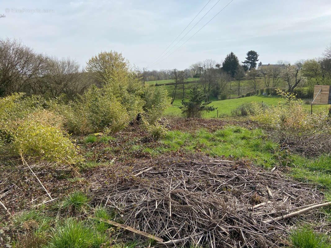 Terrain à RECQUIGNIES