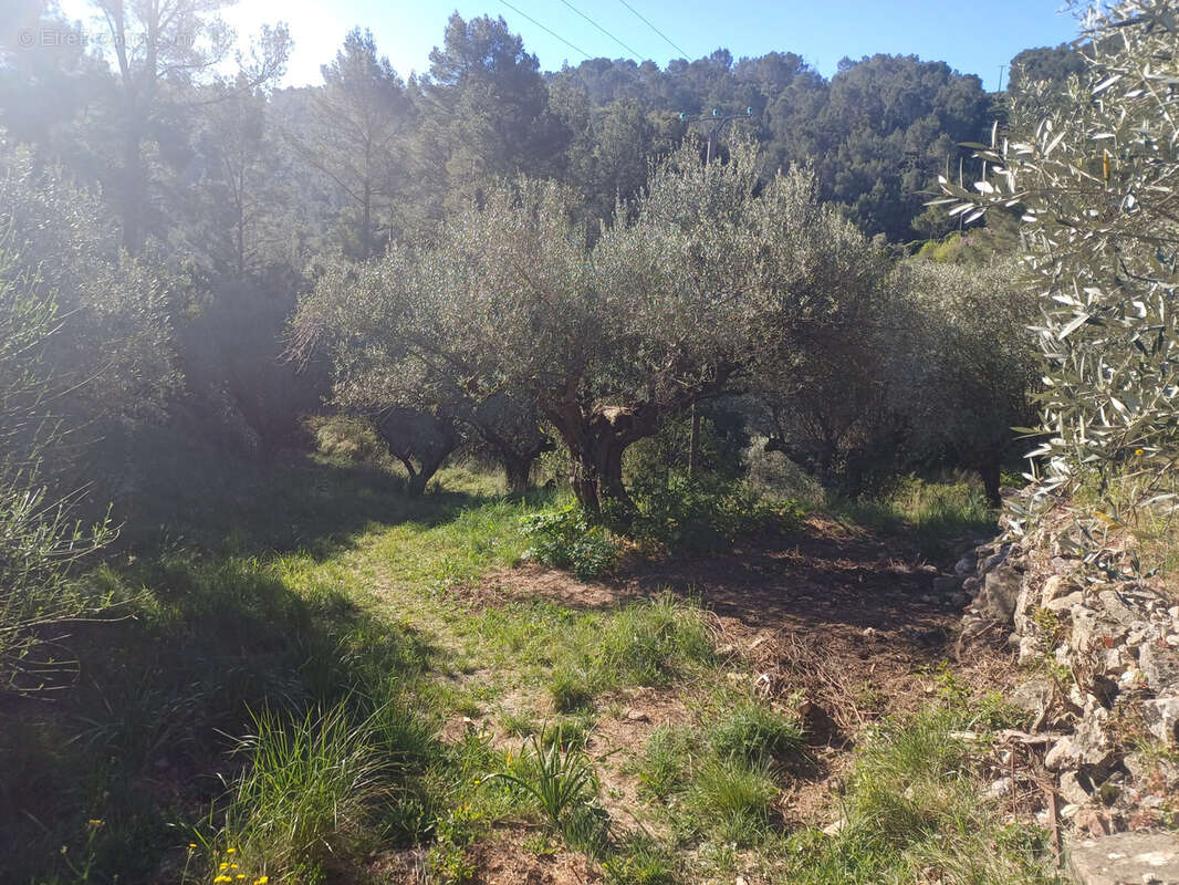 Terrain à SOLLIES-VILLE