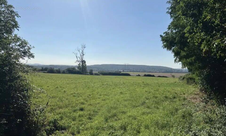 Photo Terrain à Mere au prix de 459 000€