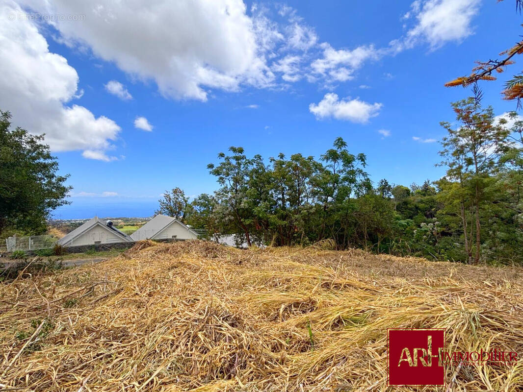 Terrain à SAINT-PAUL